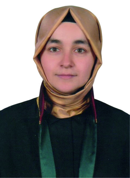 AYŞE TAŞPINAR ERÇEN