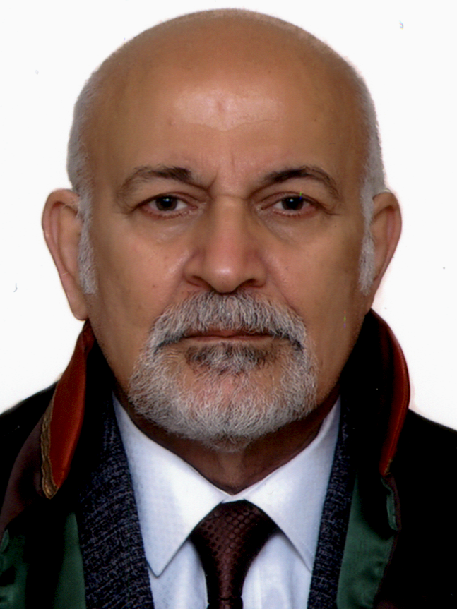 SUPHİ SEVİN