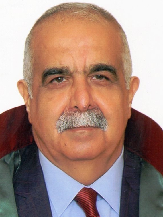 AHMET FEYYAZ ÖZEL