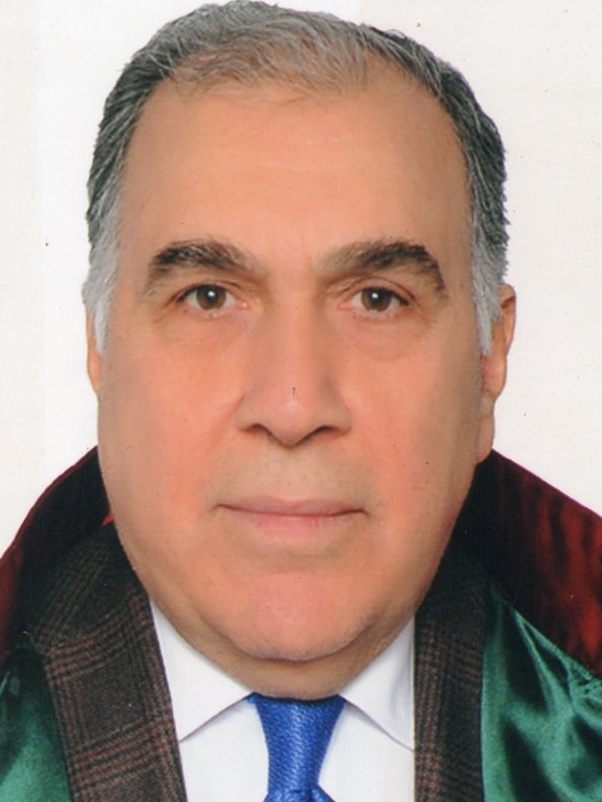 MEHMET ORHAN FETTAHLIOĞLU