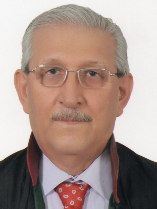 ADNAN ÇÖKDÜ