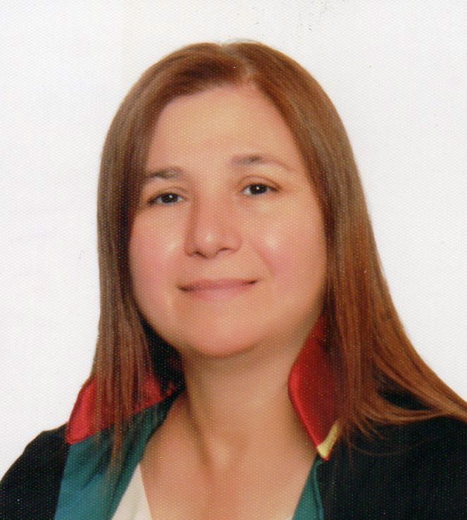AYSEL TEKİN