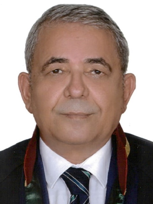 AHMET FARUK ULAŞ